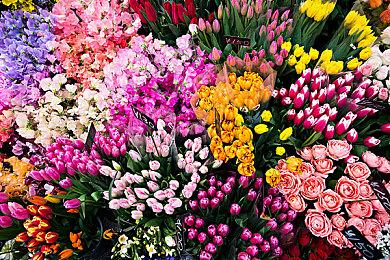 《匹诺曹的谎言》新预告公布 2023年发售